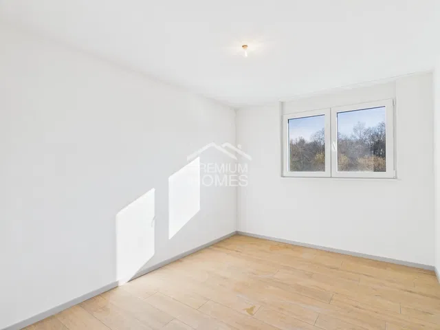 Kitchen; kitchen appliances, wood floor, natural light, modern style