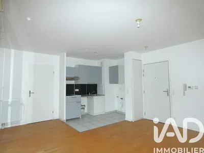 Кухиња; кухињски апарати, дрвени под, природно светло, модерни стил