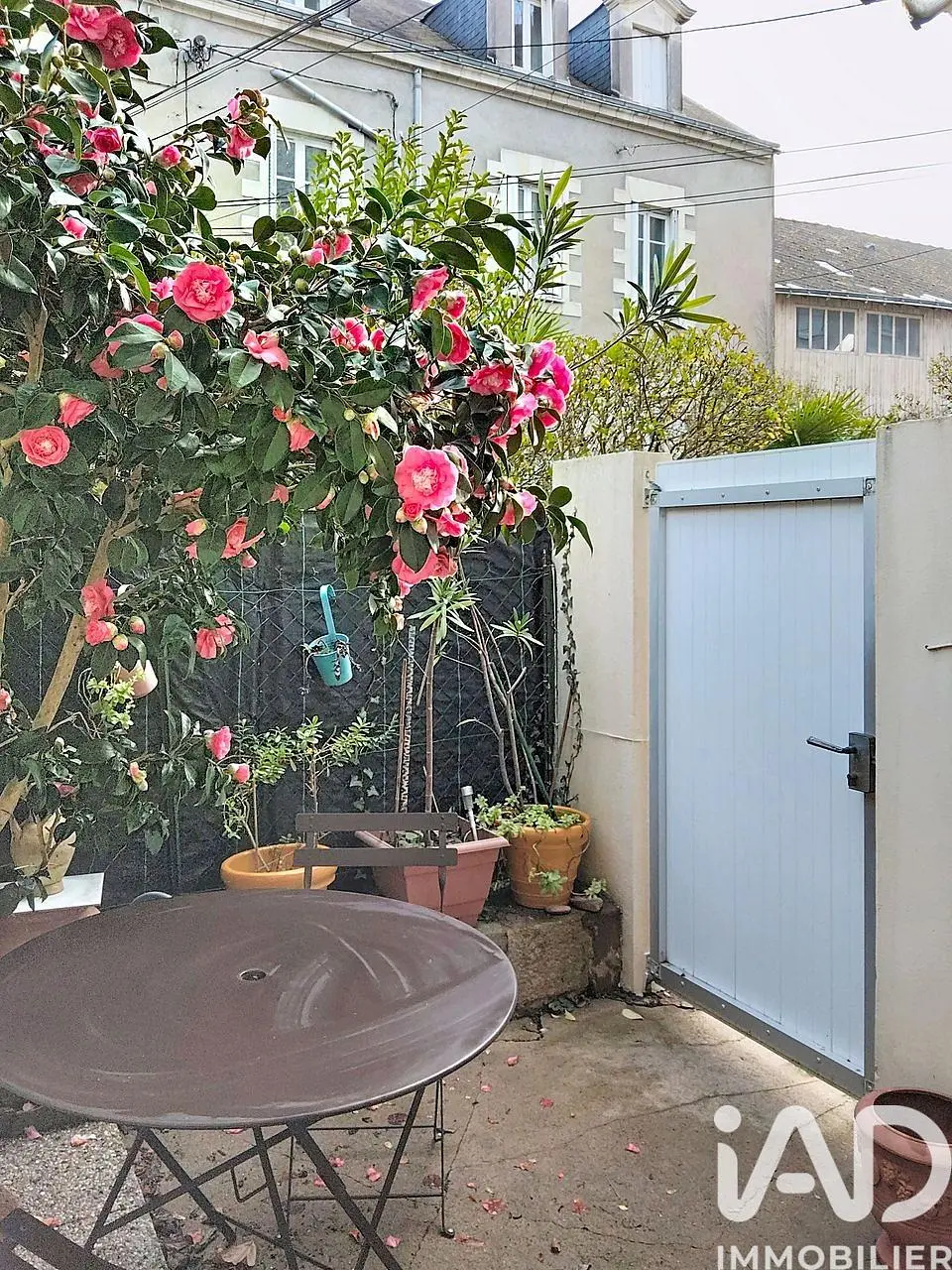 Cuisine; électroménager, parquet, lumière naturelle, style moderne