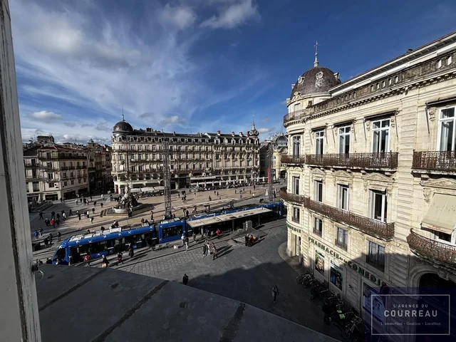 Κουζίνα; συσκευές κουζίνας, ξύλινο πάτωμα, φυσικό φως, μοντέρνο στυλ