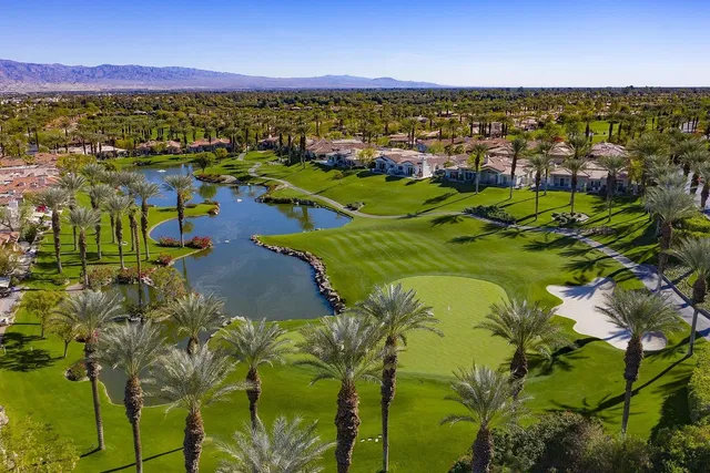 Kitchen; kitchen appliances, wood floor, natural light, modern style
