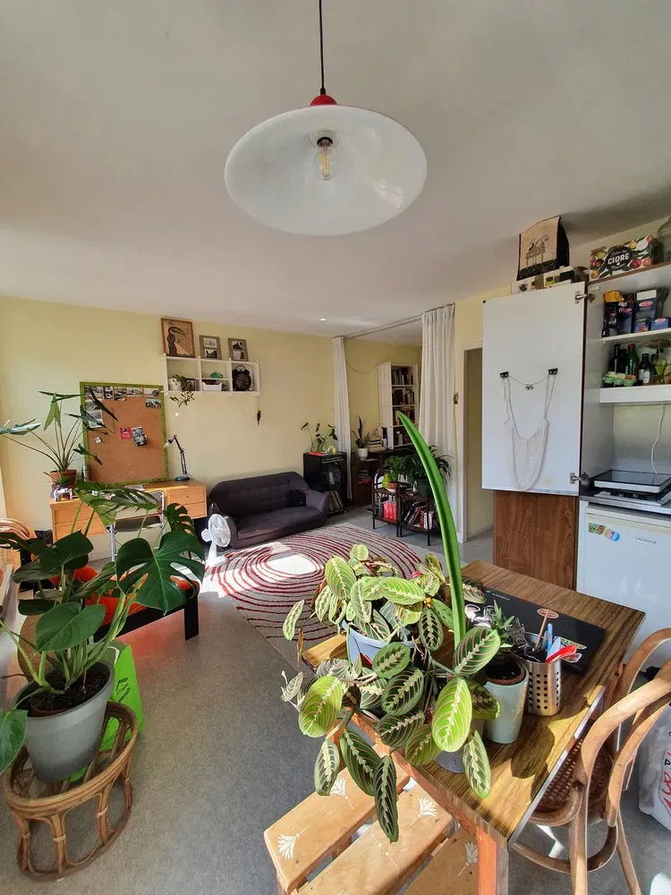 Cuisine; électroménager, parquet, lumière naturelle, style moderne