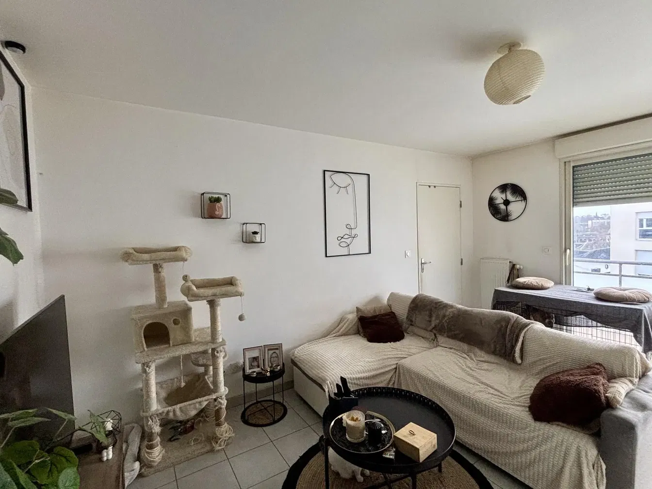 Küche; küchengeräte, holzboden, tageslicht, moderner stil