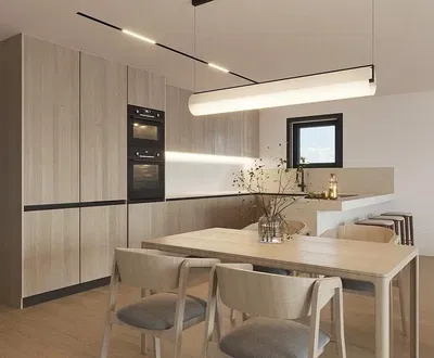 Cuisine; électroménager, parquet, lumière naturelle, style moderne