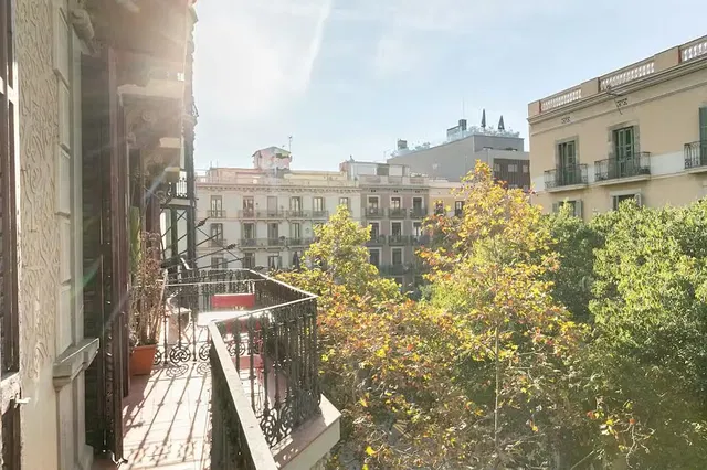 Cuisine; électroménager, parquet, lumière naturelle, style moderne