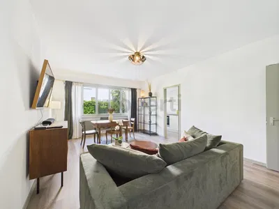 Living room; wood floor, natural light, modern style
