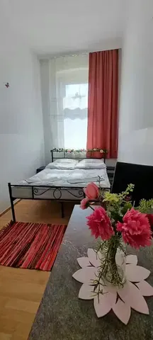 Kitchen; kitchen appliances, wood floor, natural light, modern style