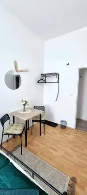 Kuchyně; kuchyňské spotřebiče, dřevěná podlaha, přirozené světlo, moderní styl