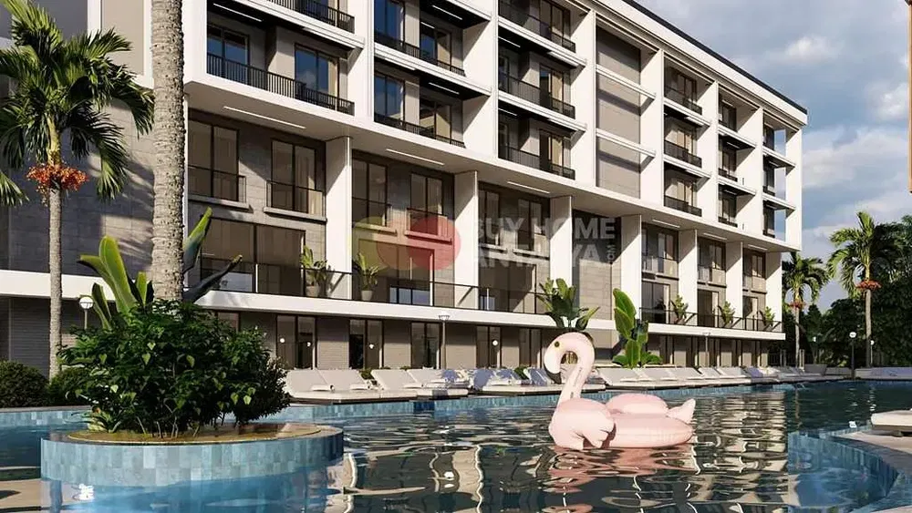 Kitchen; kitchen appliances, wood floor, natural light, modern style