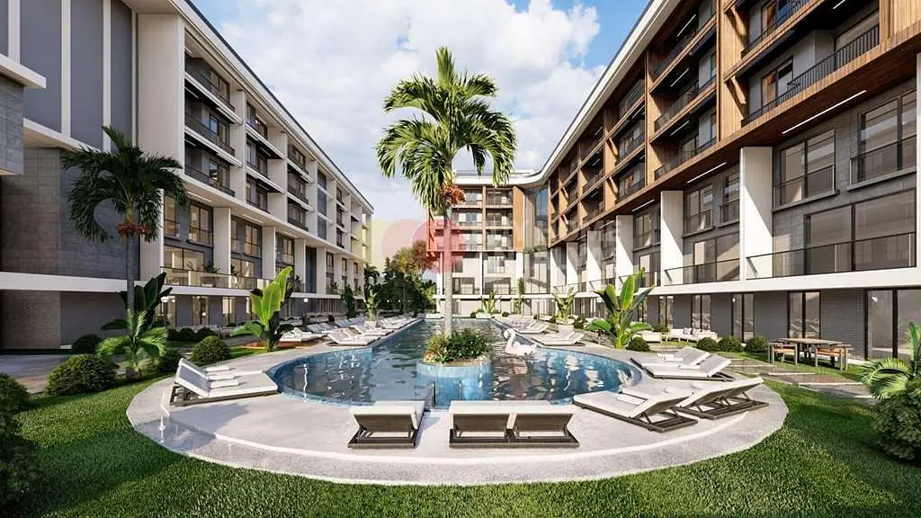 Kitchen; kitchen appliances, wood floor, natural light, modern style