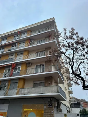 Cocina; electrodomésticos, suelo de madera, luz natural, estilo moderno