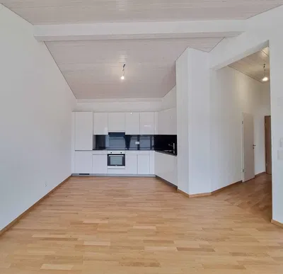 Küche; küchengeräte, holzboden, tageslicht, moderner stil