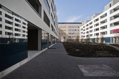 Küche; küchengeräte, holzboden, tageslicht, moderner stil