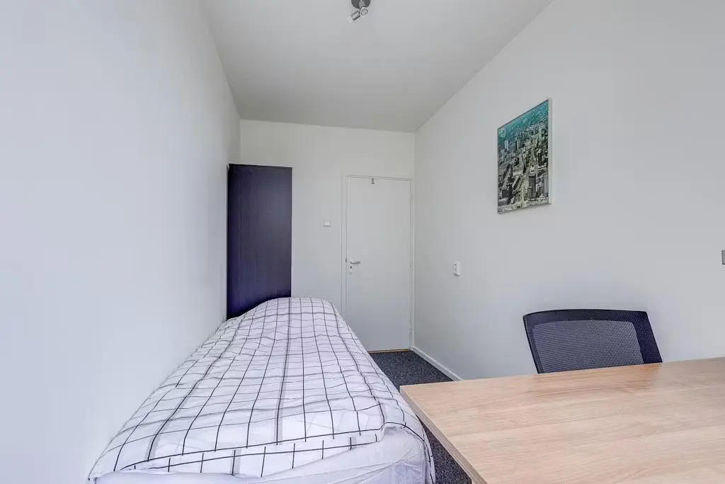 Cuisine; électroménager, parquet, lumière naturelle, style moderne