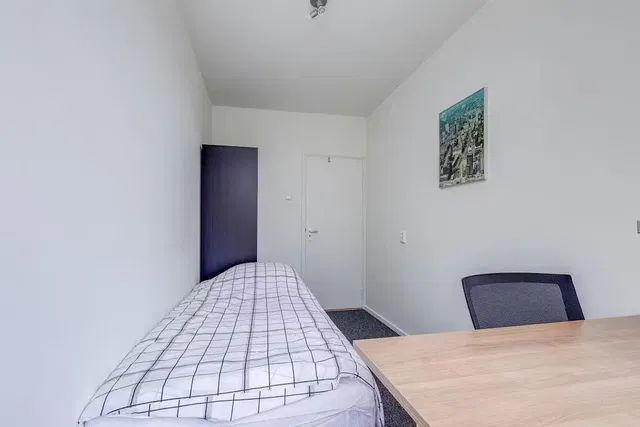 Küche; küchengeräte, holzboden, tageslicht, moderner stil