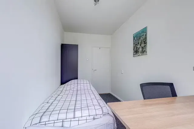 Keuken; keukenapparatuur, houten vloer, natuurlijk licht, moderne stijl