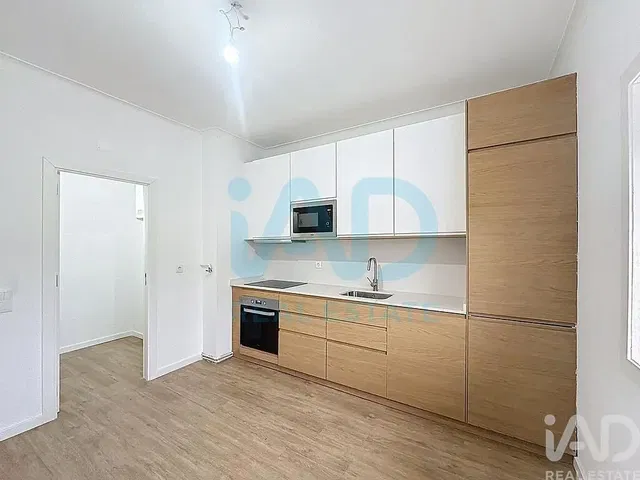 Küche; küchengeräte, holzboden, tageslicht, moderner stil