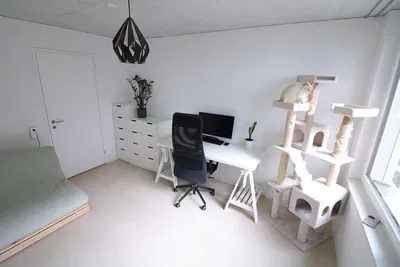 Кухиња; кухињски апарати, дрвени под, природно светло, модерни стил