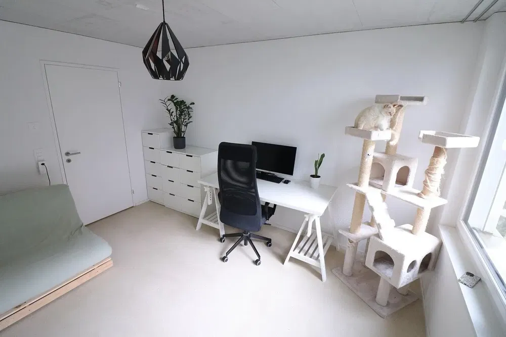 Küche; küchengeräte, holzboden, tageslicht, moderner stil