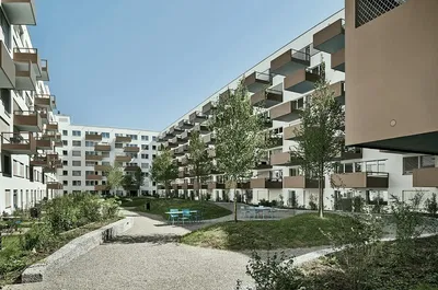 Küche; küchengeräte, holzboden, tageslicht, moderner stil