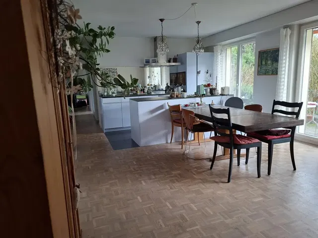 Kitchen; kitchen appliances, wood floor, natural light, modern style