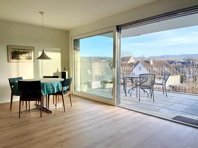 Kitchen; kitchen appliances, wood floor, natural light, modern style