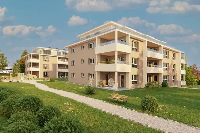 Kitchen; kitchen appliances, wood floor, natural light, modern style