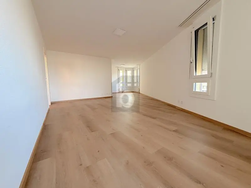 Cuisine; électroménager, parquet, lumière naturelle, style moderne