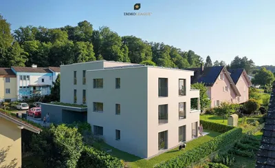 Kuhinja; kuhinjski aparati, drveni pod, prirodno svjetlo, moderni stil