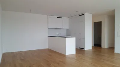 Kuhinja; kuhinjski aparati, drveni pod, prirodno svjetlo, moderni stil