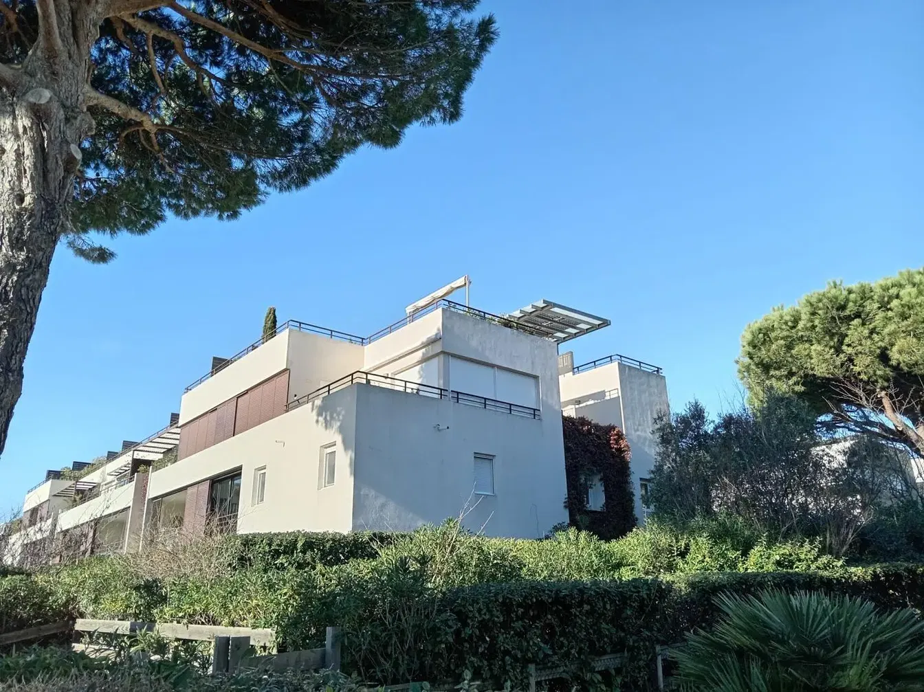 Дневна соба; дрвени под, природно светло, модерни стил