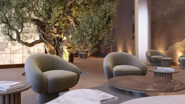 Kitchen; kitchen appliances, wood floor, natural light, modern style