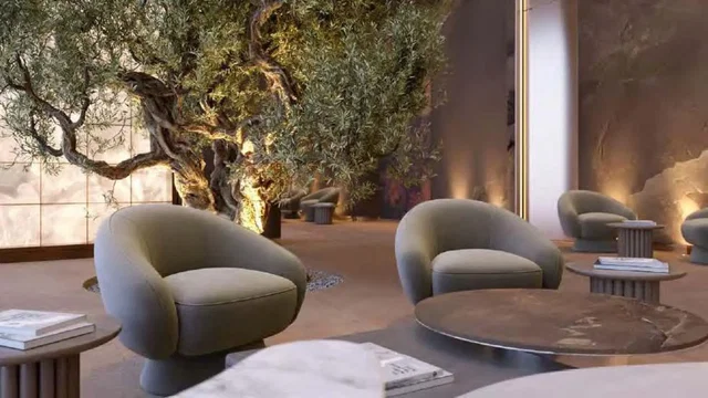 Kitchen; kitchen appliances, wood floor, natural light, modern style