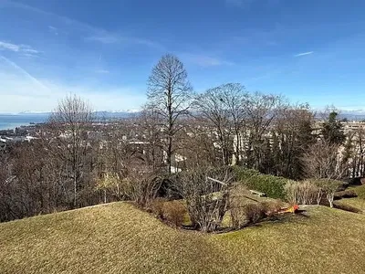 Dnevni boravak; drveni pod, prirodna svjetlost, moderan stil