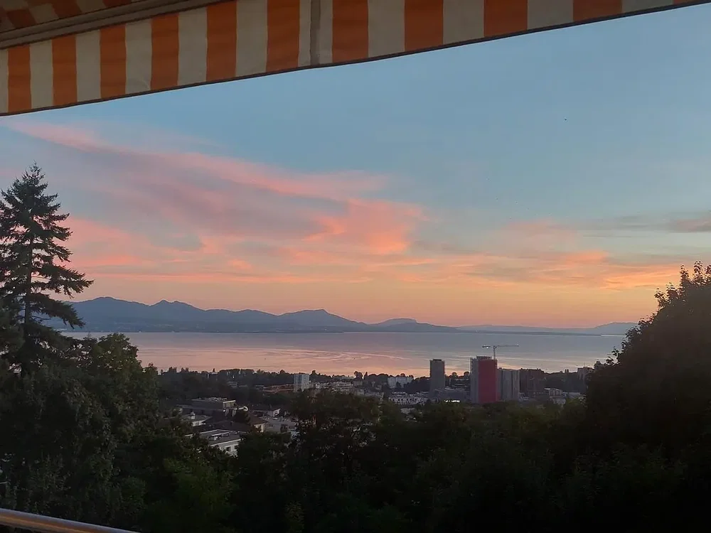 Kuhinja; kućanski aparati, drveni pod, prirodna svjetlost, moderan stil