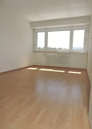 Kuchyně; kuchyňské spotřebiče, dřevěná podlaha, přirozené světlo, moderní styl