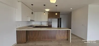 Cuisine; électroménager, parquet, lumière naturelle, style moderne