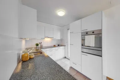 Kuhinja; kuhinjski aparati, drveni pod, prirodno svjetlo, moderni stil