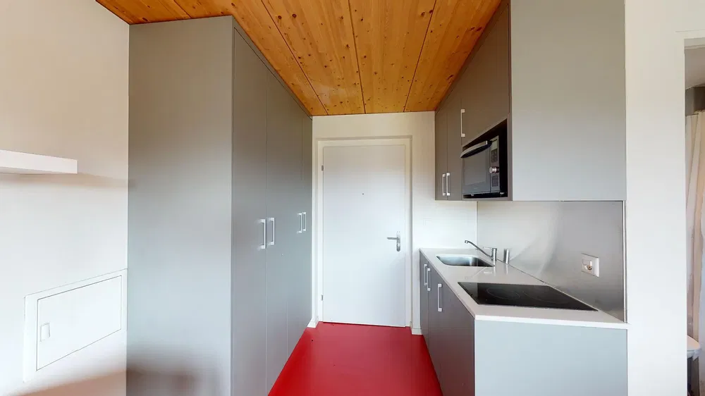 Kuhinja; kuhinjski aparati, drveni pod, prirodno svjetlo, moderni stil