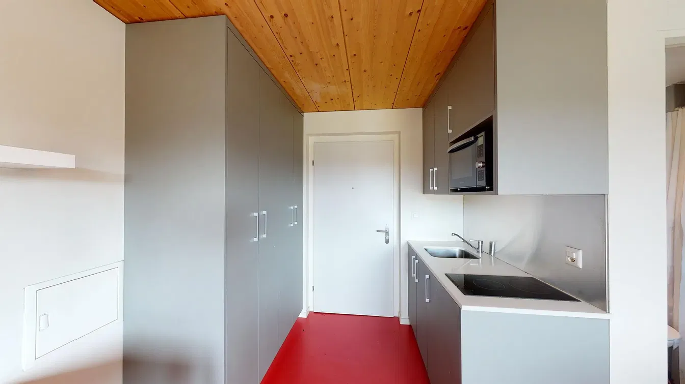 Kuhinja; kuhinjski aparati, drveni pod, prirodno svjetlo, moderni stil