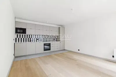 Cuisine; électroménager, parquet, lumière naturelle, style moderne