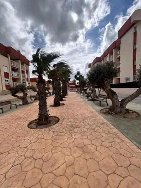 Cuisine; électroménager, parquet, lumière naturelle, style moderne