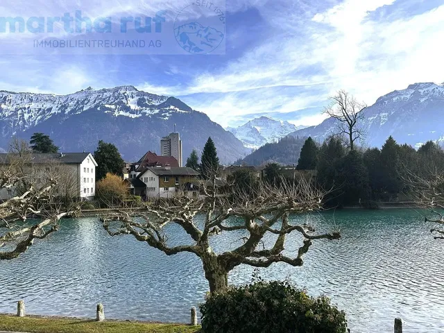 Cucina; elettrodomestici, pavimento in legno, luce naturale, stile moderno