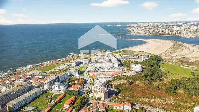 Küche; küchengeräte, holzboden, tageslicht, moderner stil