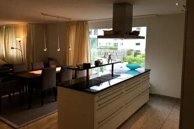 Kitchen; kitchen appliances, wood floor, natural light, modern style