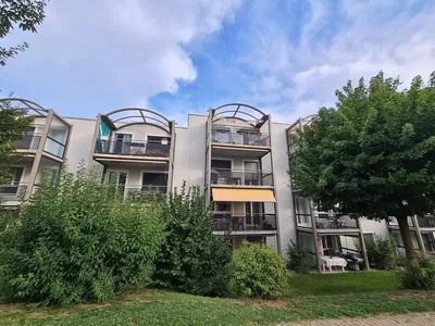 Küche; küchengeräte, holzboden, tageslicht, moderner stil