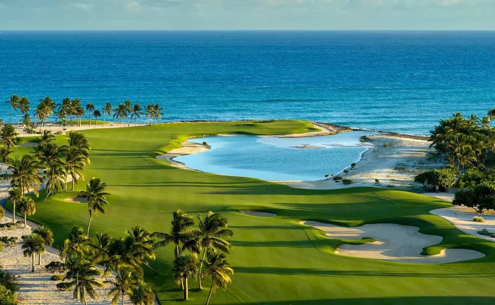 Cuisine; électroménager, parquet, lumière naturelle, style moderne