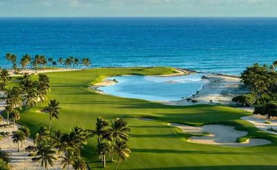 Cuisine; électroménager, parquet, lumière naturelle, style moderne