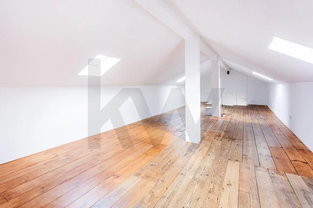 Kitchen; kitchen appliances, wood floor, natural light, modern style