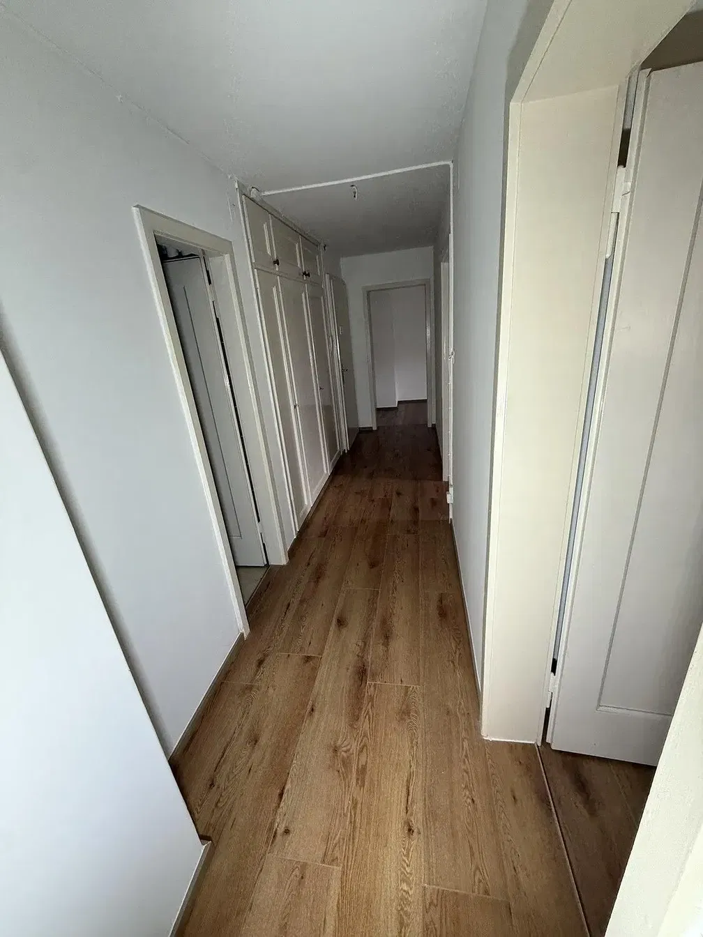 Cucina; elettrodomestici, pavimento in legno, luce naturale, stile moderno